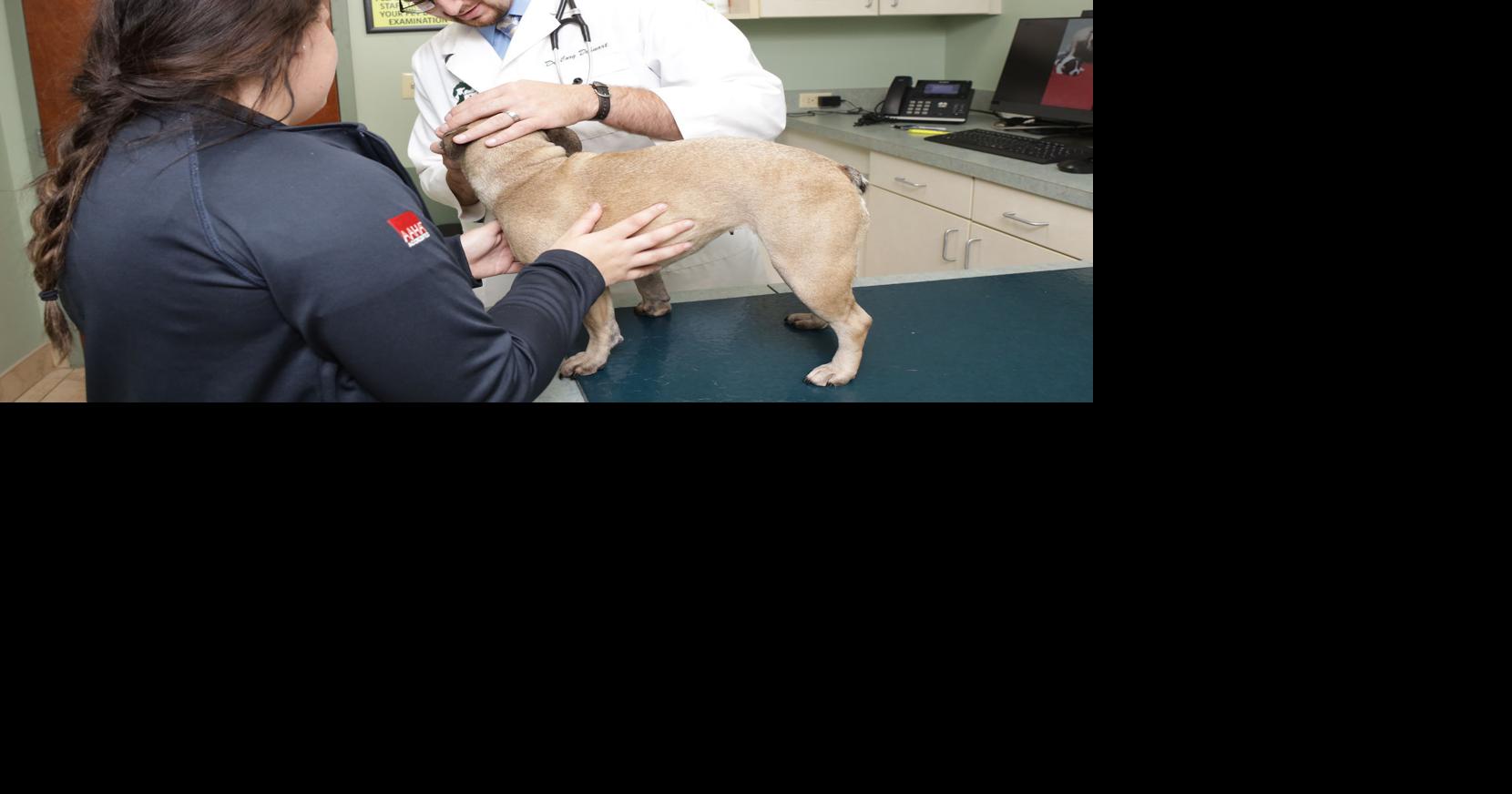 Region veterinarians discuss the benefits of having your pet altered