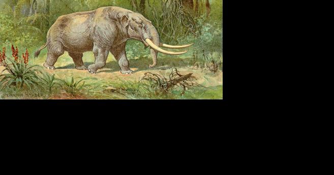 House stampedes to make the mastodon Indiana's official fossil - Vimarsana News
