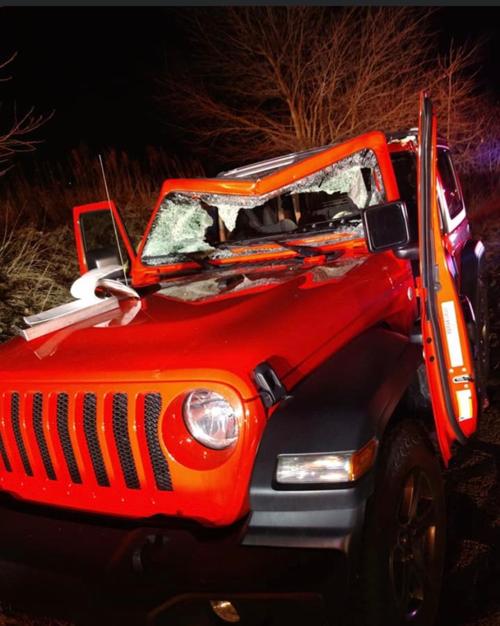 Deer crash