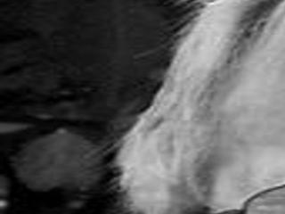 Richard Dick A Gordon Local Obituaries Nwitimes Com
