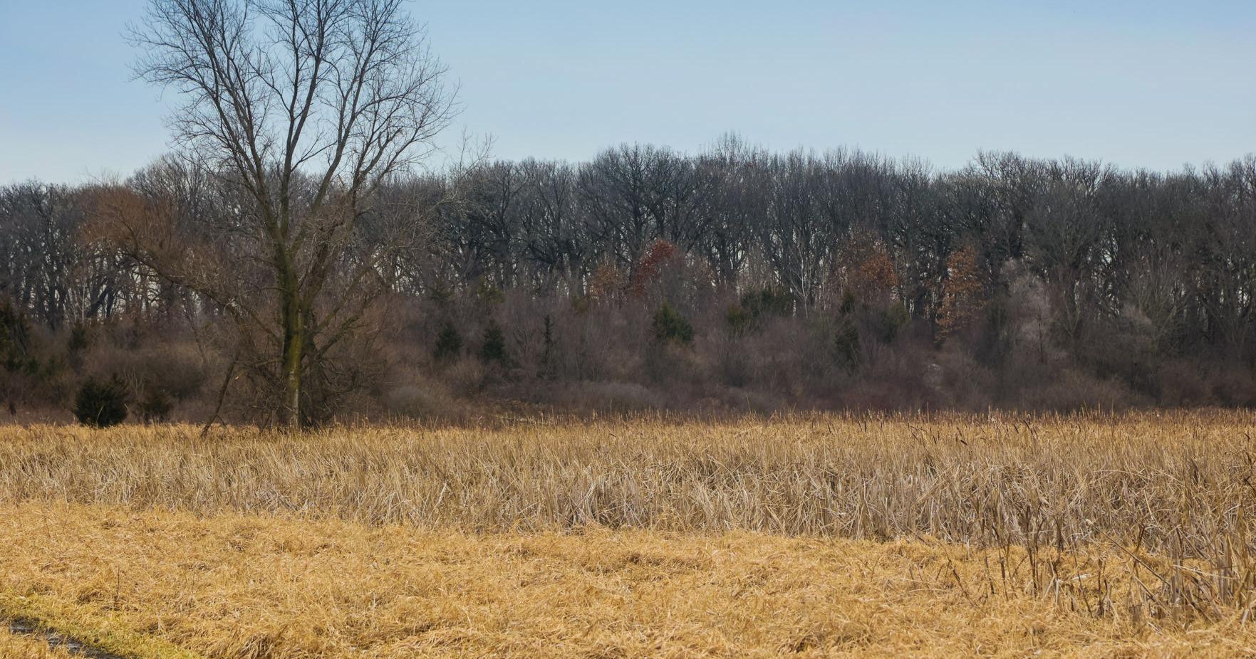 Lake County Parks buys almost 100 acres in Schererville - Vimarsana News