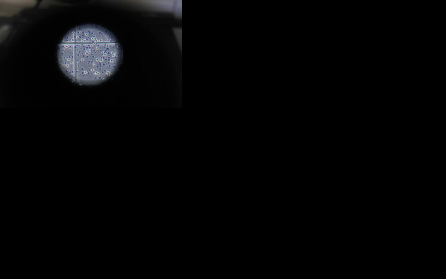 Asset-image
