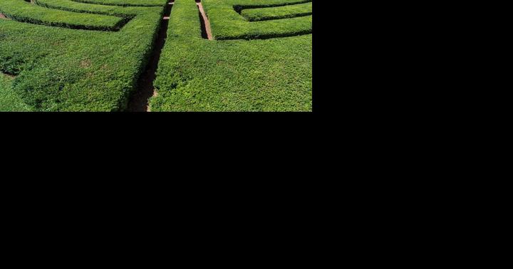 New Harmony Indiana a step into utopian past - Vimarsana News