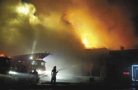 Fire destroys Lansing pet shop