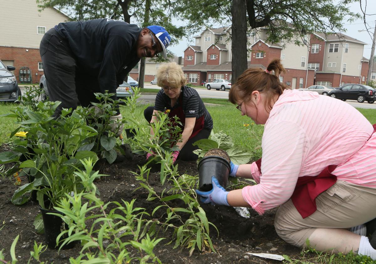 Gotta Start Somewhere Volunteers Create Butterfly Waystation