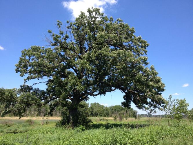 Hadley Valley Preserve adds 48 acres, Spring Creek Greenway support