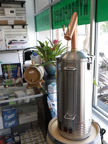 Snapshots Hydro Brew