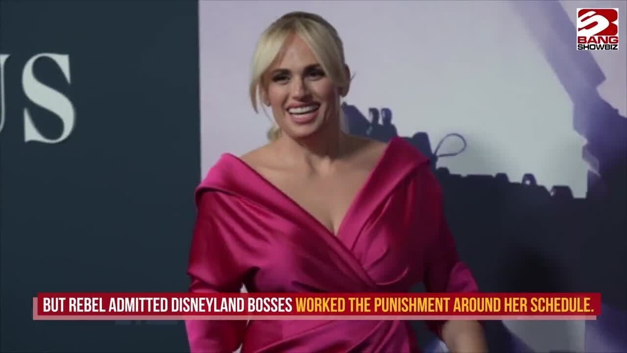 Rebel Wilson describes getting banned from Disneyland over 'illegal' bathroom selfie