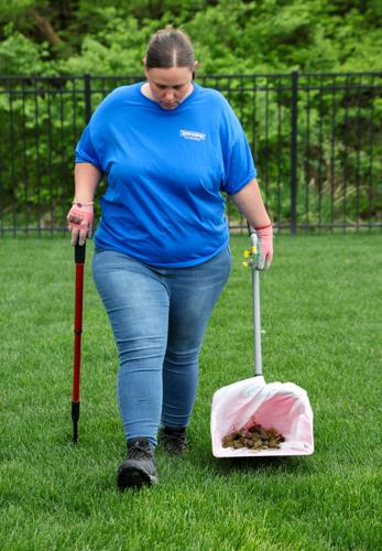 Region Scooper cleans dog poop around NWI