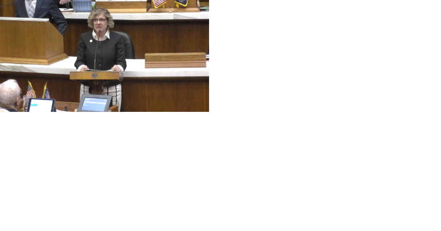 House OKs plan clarifying law on driver's license suspension - Vimarsana News