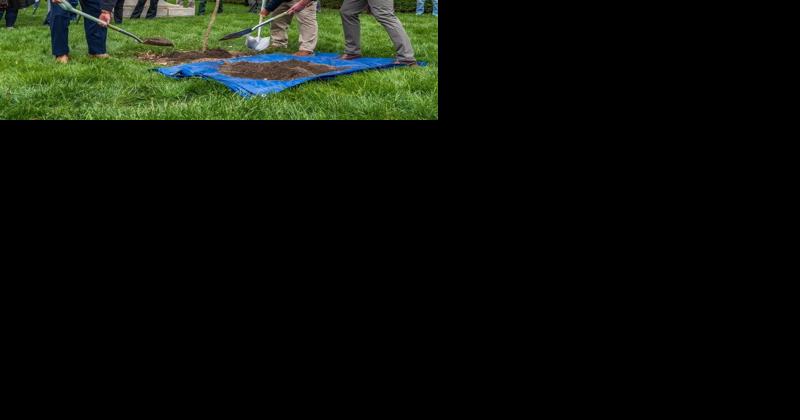 Indiana DNR meets Holcomb goal to plant 1 million new trees - Vimarsana News