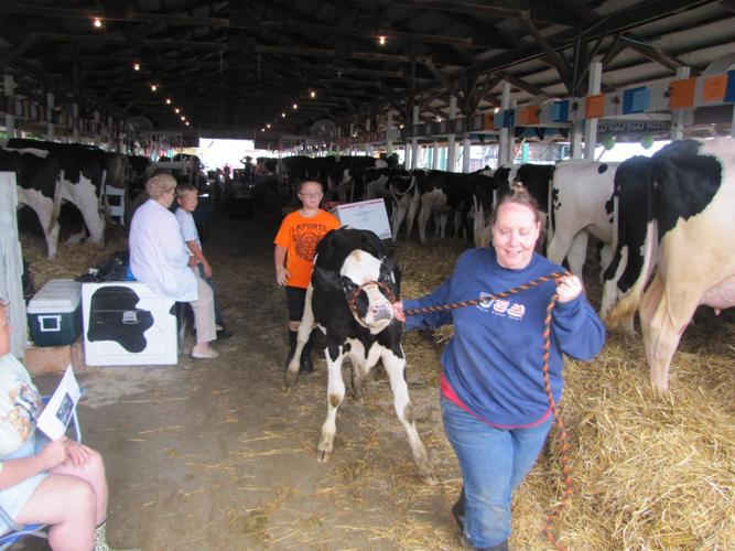 Werner crowned queen at LaPorte County Fair