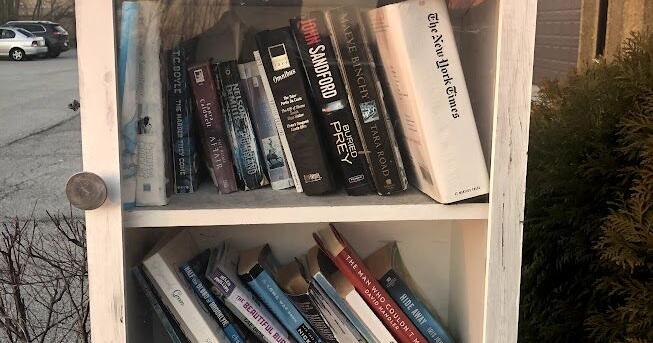 Smart Poodle Little Free Library feeding readers books in East Chicago - Vimarsana News