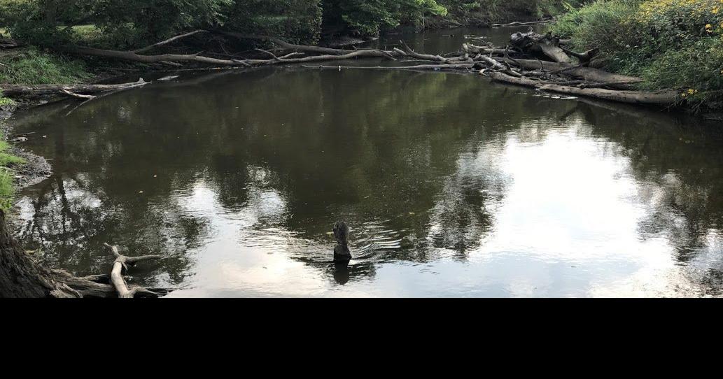 Update coming in Porter County homicide involving Hobart man, police say