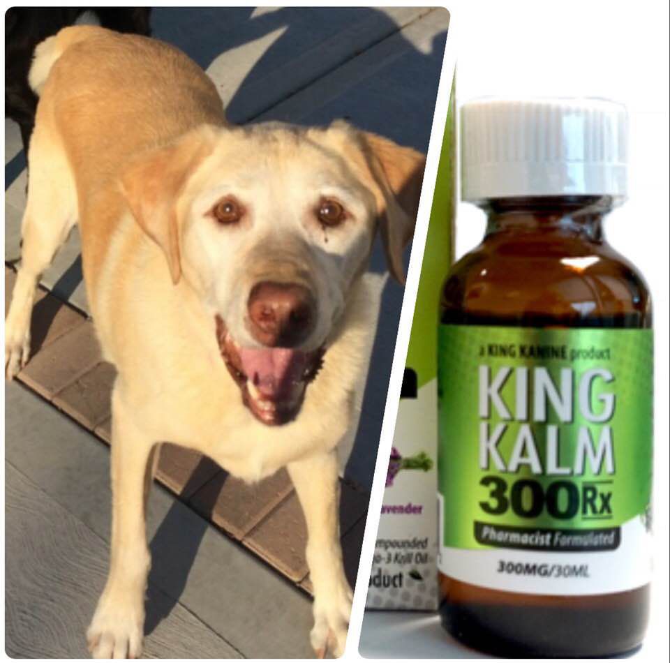 Hammond mayor, and his dog, confront Indiana attorney general over CBD oil