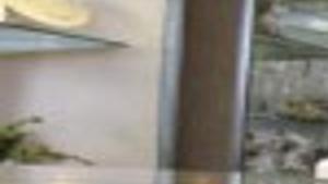 Pawn Shop Owners Complain About Loan Cap Local News Nwitimes Com