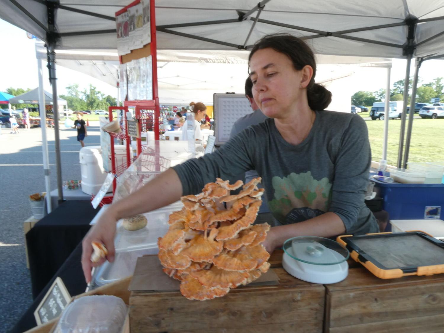 For a foraging Indiana farmer, mushrooms are magic