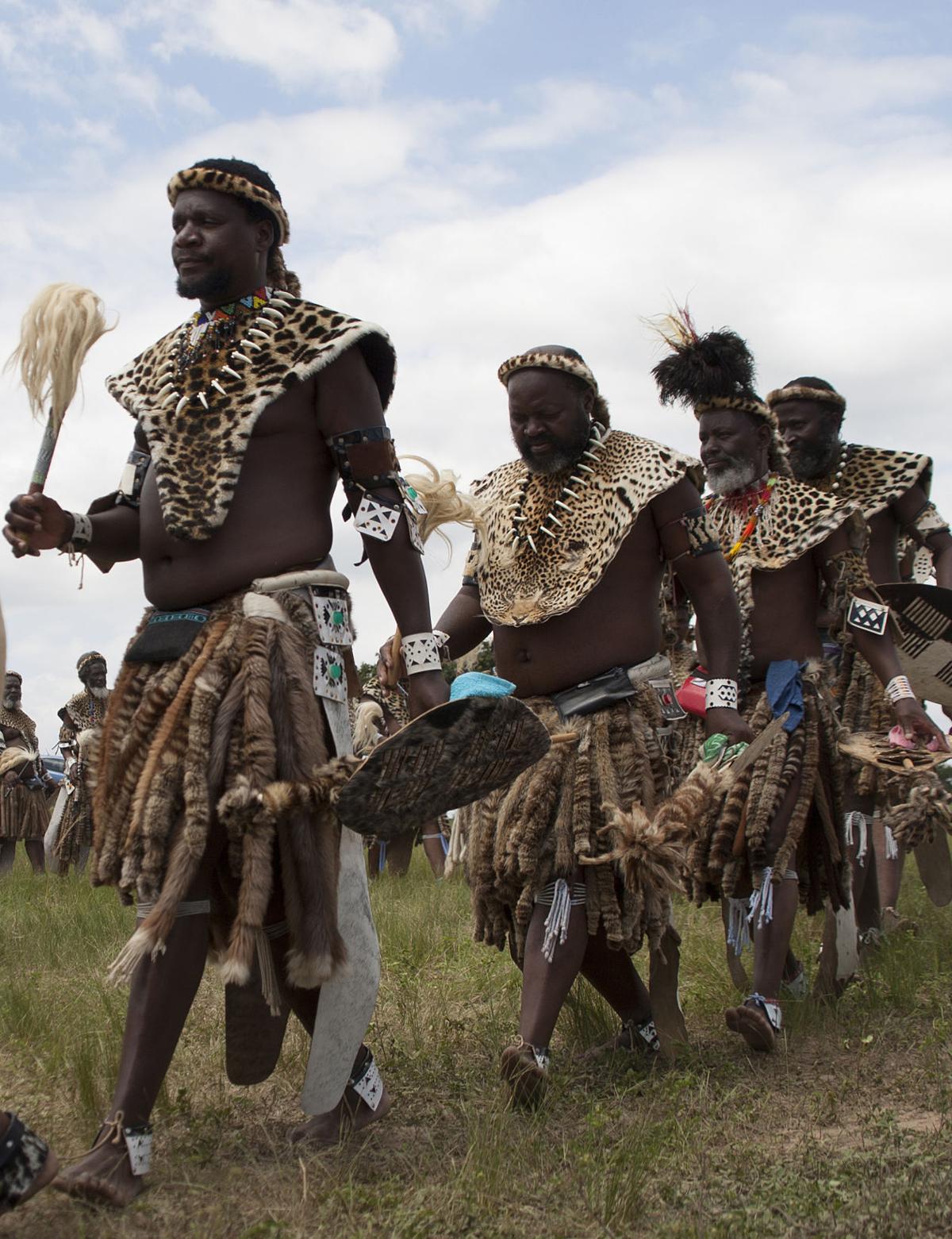 Photos How fake skins are saving real leopards in South Africa World