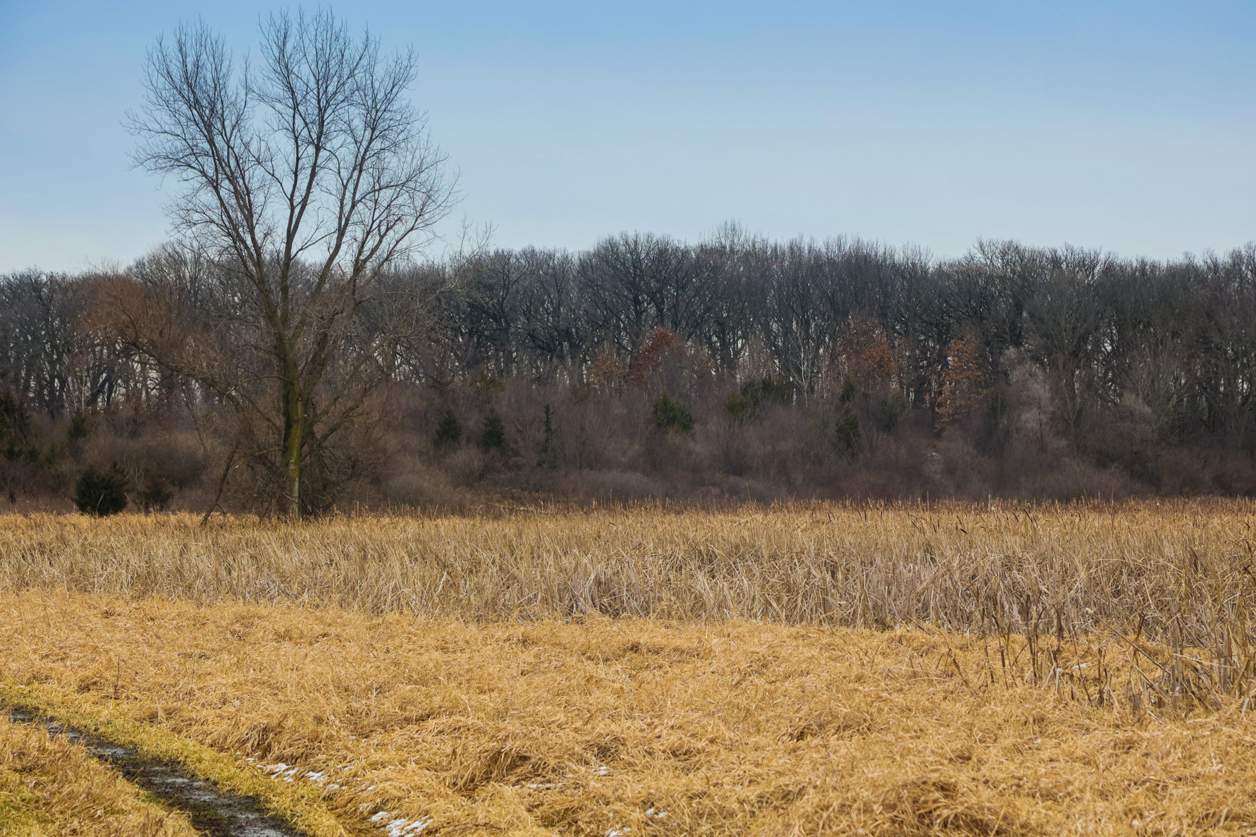 Lake County Parks eyes 100 acres largely in Schererville
