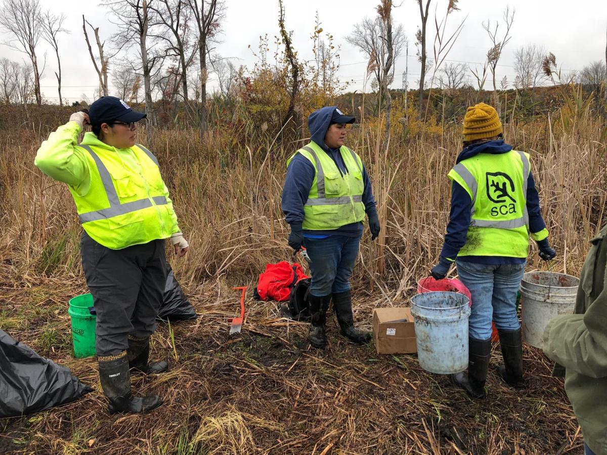 All-woman group of volunteers works to restore parts of the Dunes' Great Marsh