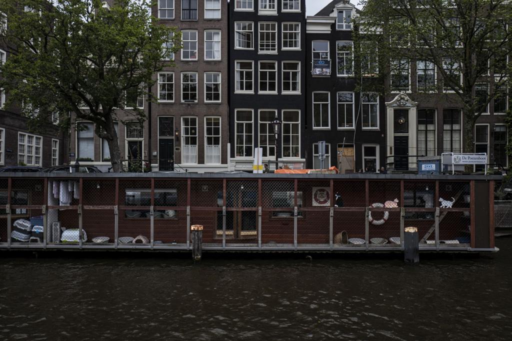Photos Stray Cats Find A Home On An Amsterdam Houseboat World