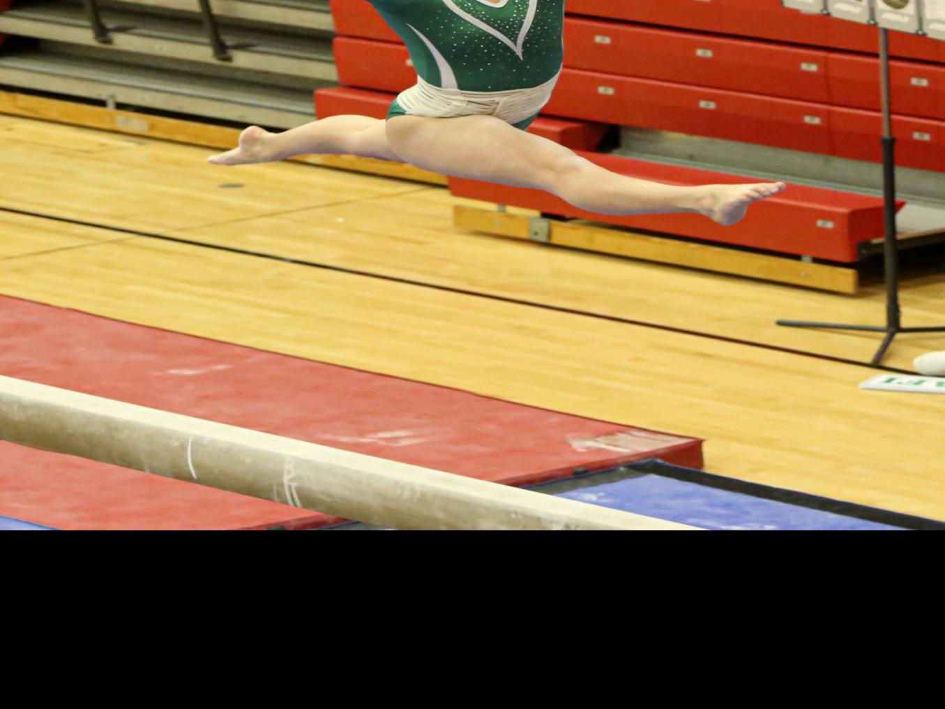 Valparaiso S Gabi Grisafi Motivated To Place At State Valparaiso Vikings Prep Zone Nwitimes Com