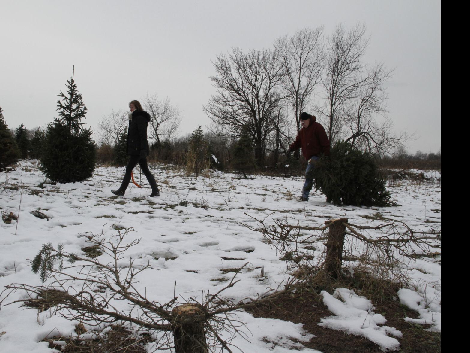 Luers Tree Farm Development On Hold Pending Annexation Of Final 150 Acres Lake County News Nwitimes Com