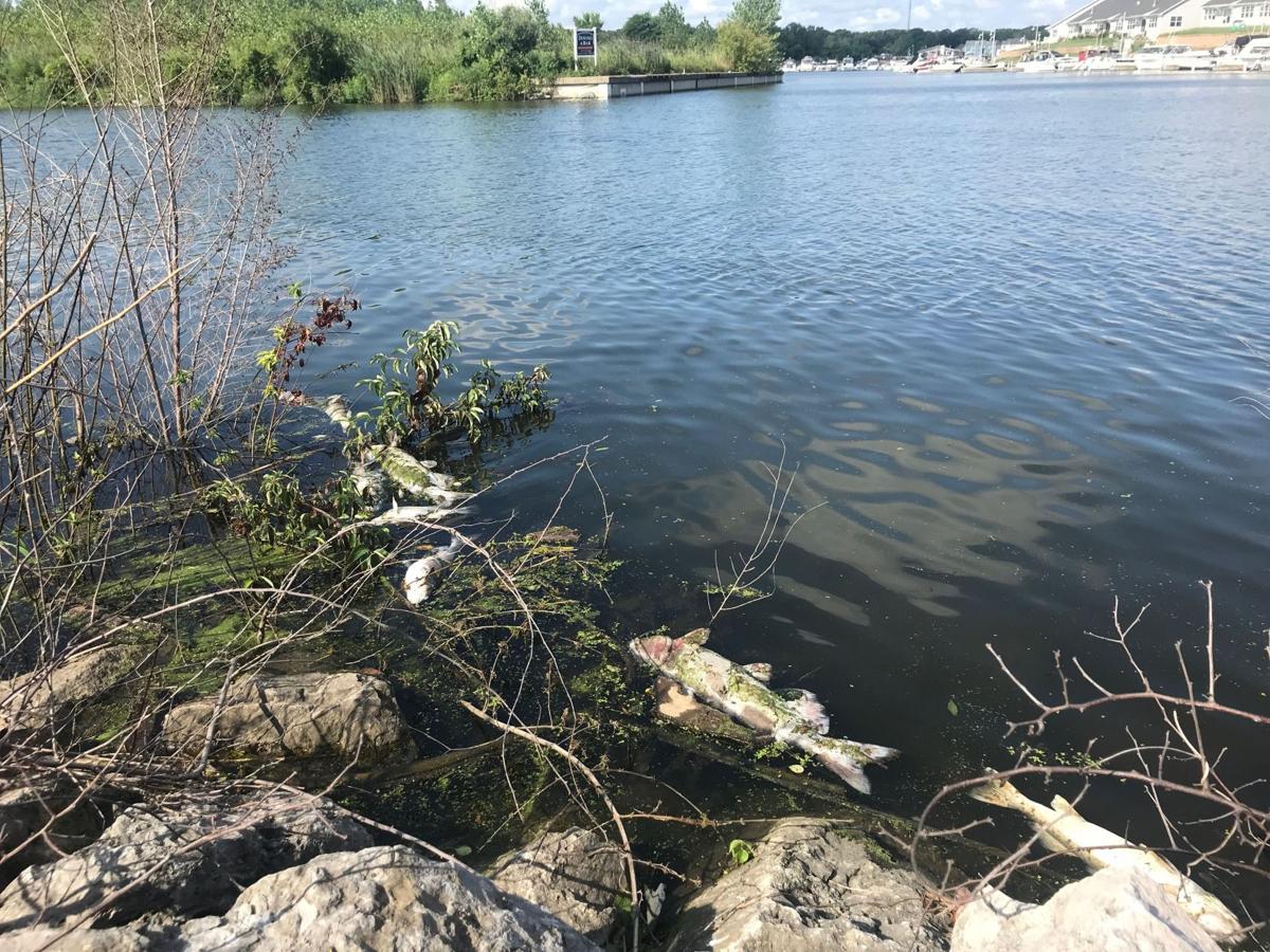 ArcelorMittal Burns Harbor continues to discharge excess chemicals, environmental group says
