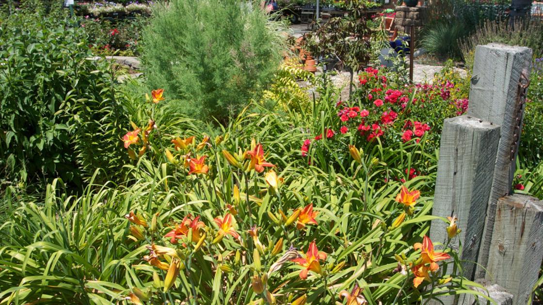 Best Landscaper Services In Northwest Indiana Nwitimes Com