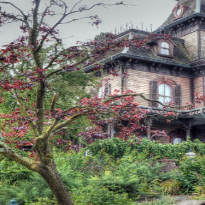 Worker Dies At Disneyland Paris Haunted House Entertainment