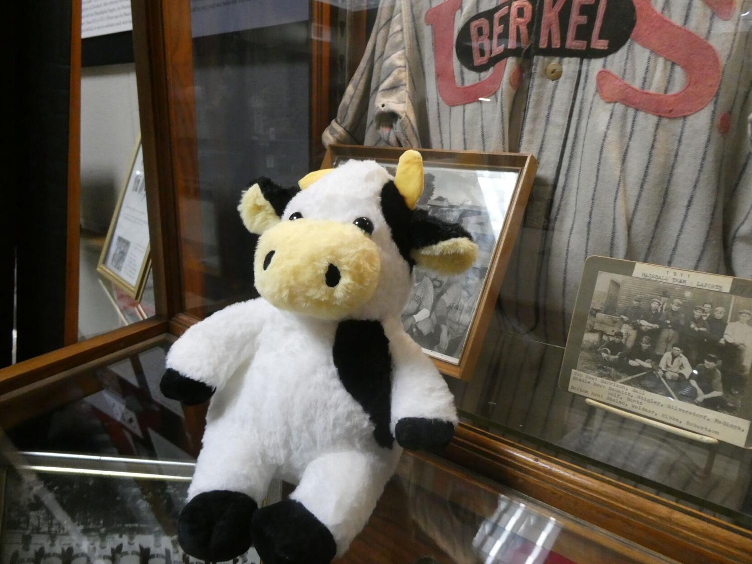 Holy cow! LaPorte museum celebrates National Dairy Month with local dairy-farm exhibit