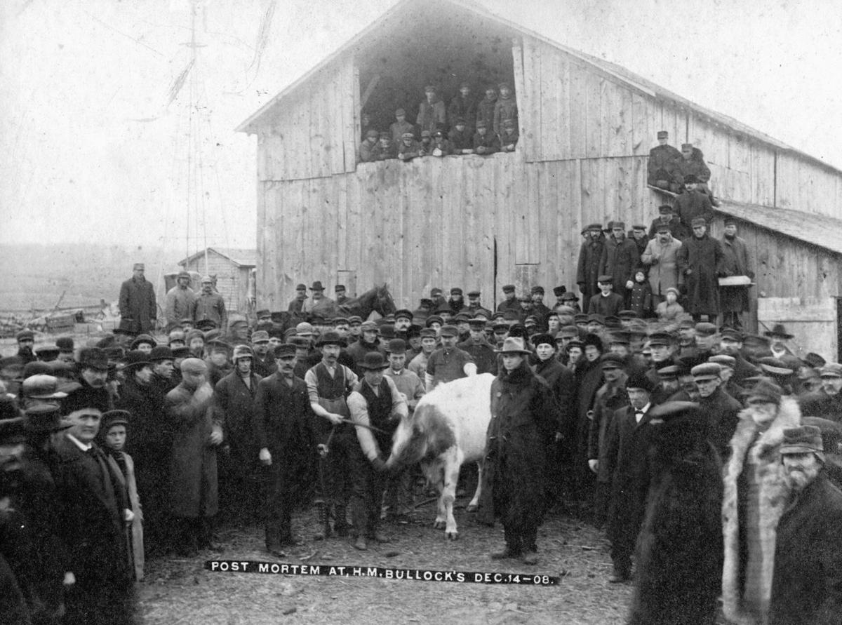 Milking history