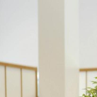 Living Art Bonsai Teaches Lifelong Lessons Home Garden Nwitimes Com