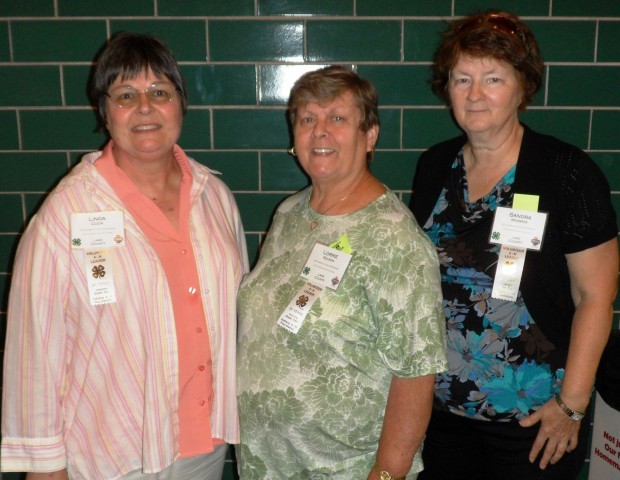 Lake County 4-H volunteers honored