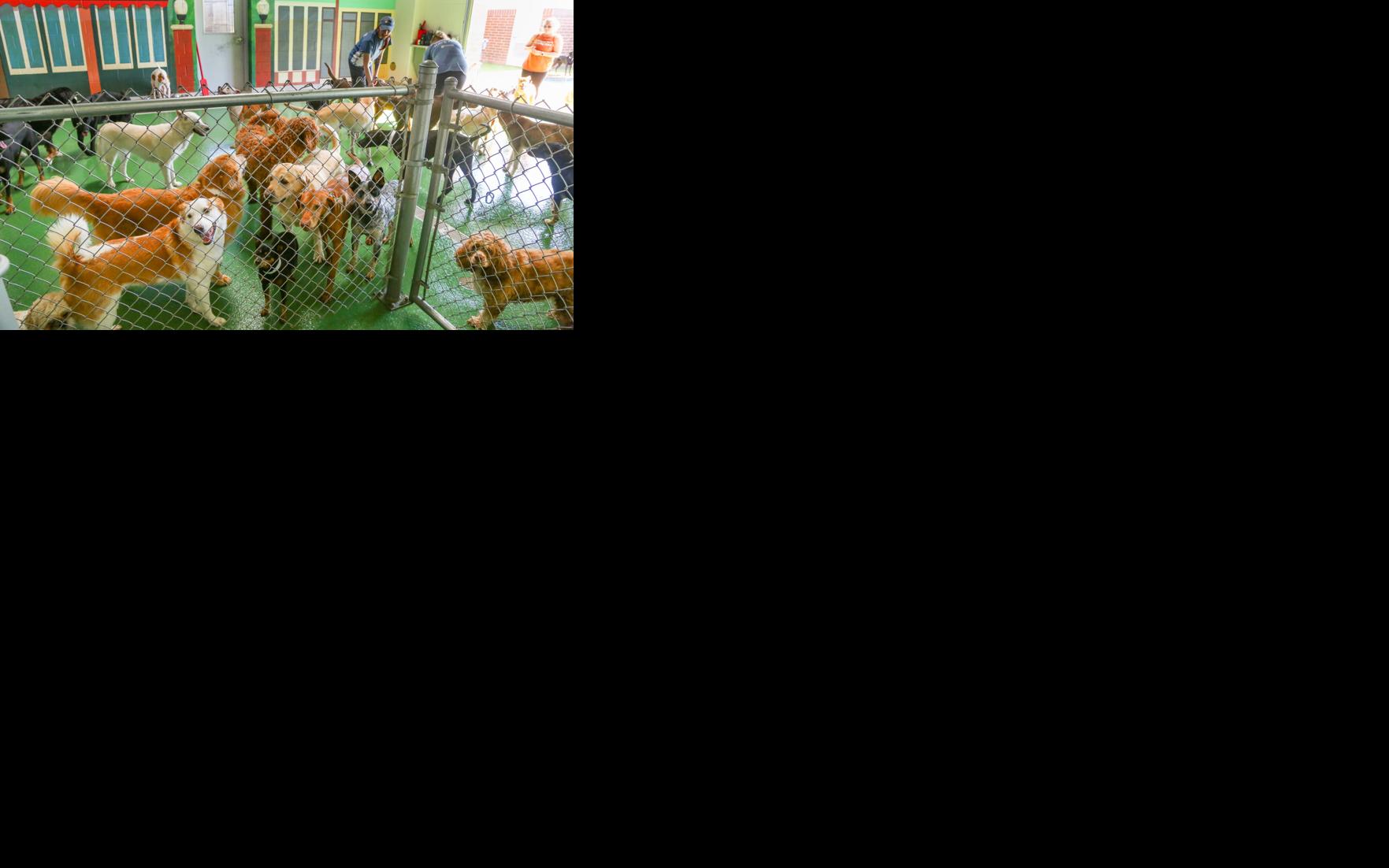Asset-image