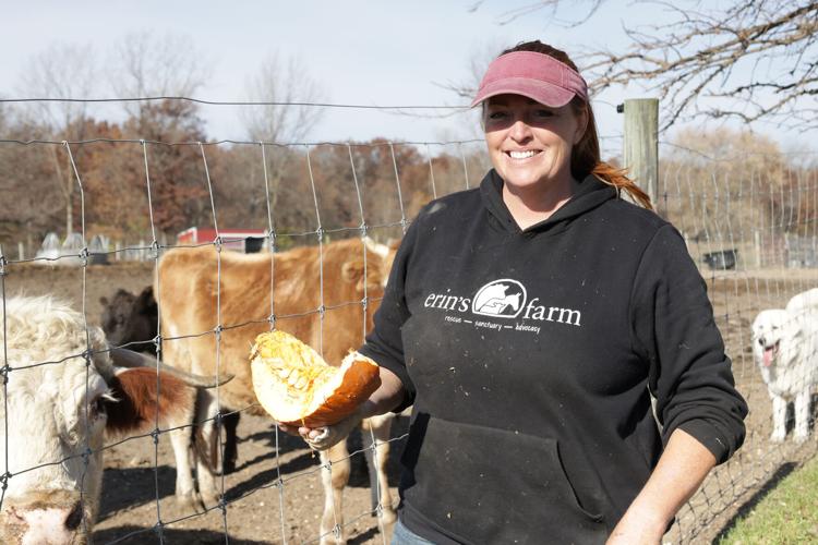 Erin's Farm longtime refuge for abused, neglected animals