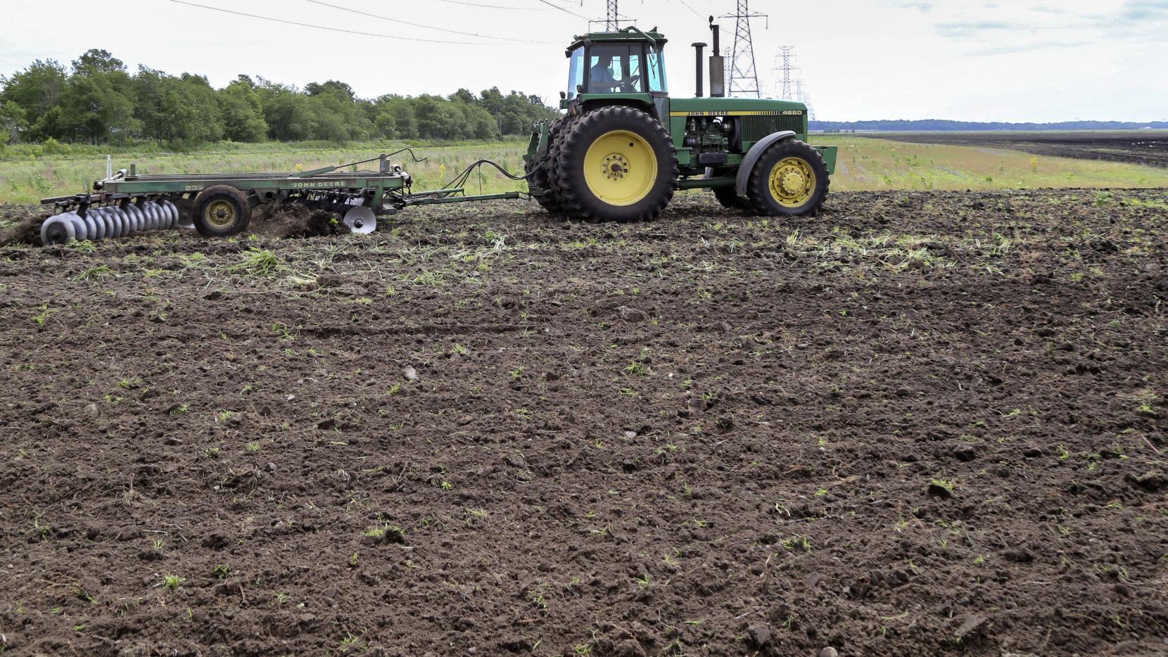 Indiana farmers planting crops amid surge in soybean and corn prices - Vimarsana News