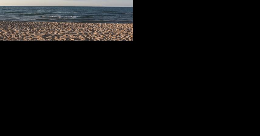 Brown Faces, Green Spaces planning beach cleanup - Vimarsana News