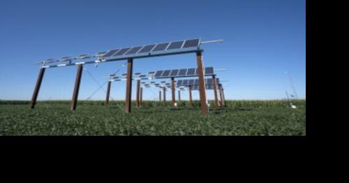 Research seeks ways to grow solar and crops together in the skeptical Corn Belt - Vimarsana News