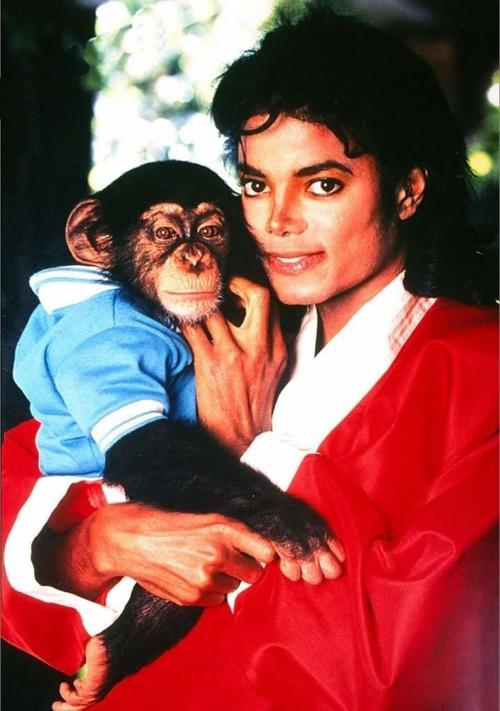 Michael Jackson and bubbles Michael Jackson's monkey pet adopted