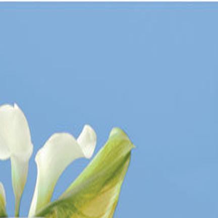 Beat The Winter Blues With These Paint Colors Home Nwitimes Com
