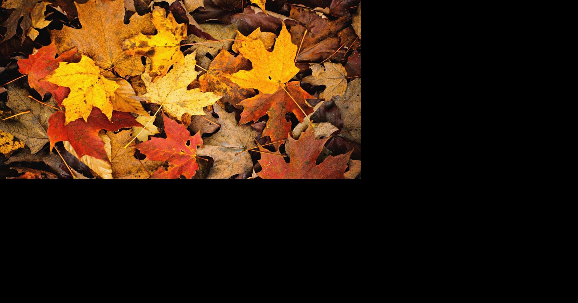 Valparaiso Compost Site changes hours Nov. 2