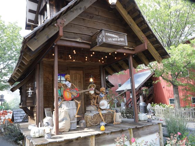 For more than 40 years, Bengtson's has harvested fall memories and fun in Homer Glen