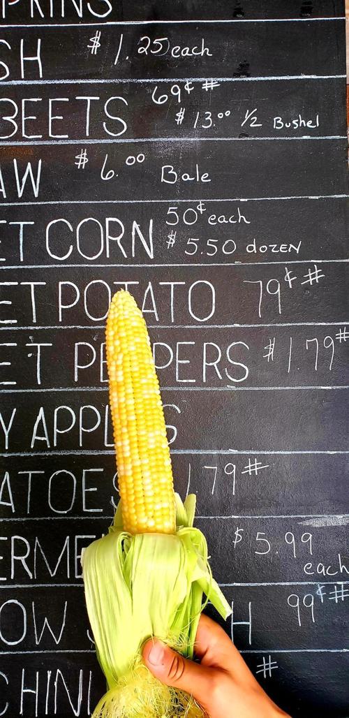 Corn