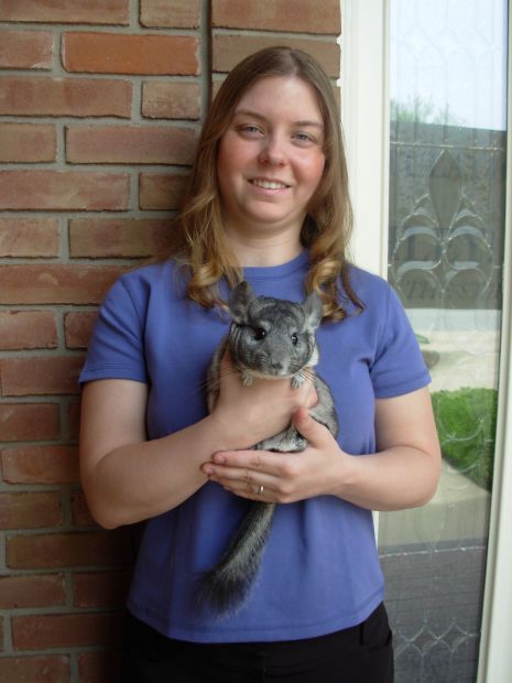 Chinchilla Save Leads Lawyer To Form Rodent Rescue Group Munster News Nwitimes Com