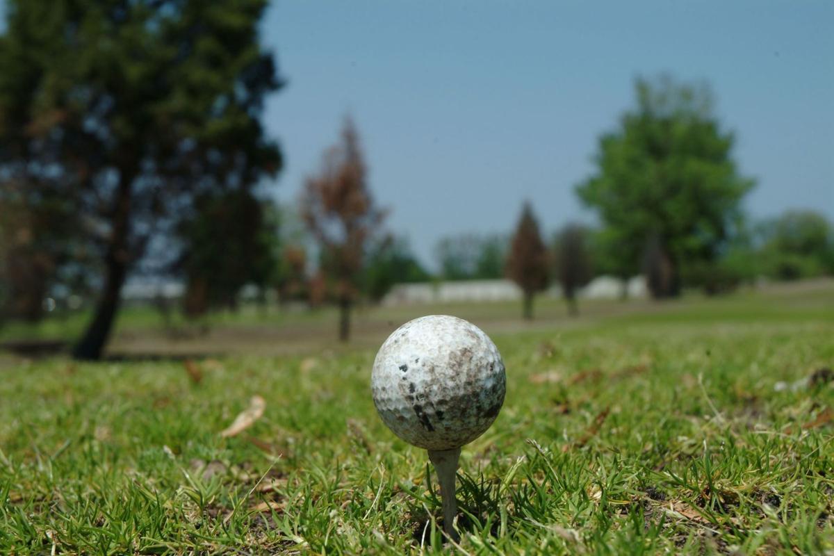 Golf stock