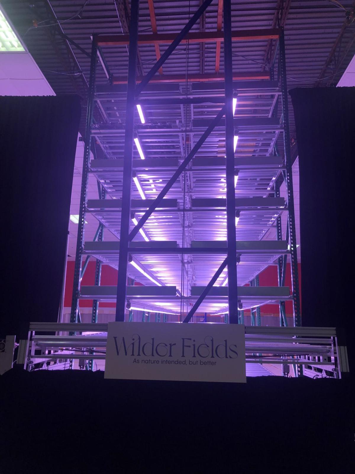 Indoor farm touted as future of agriculture in fight against climate change