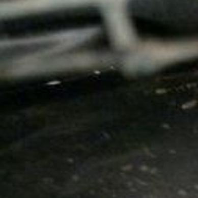 200 Pound Alligator Found In Lansing Basement Official Says South Suburban News Nwitimes Com