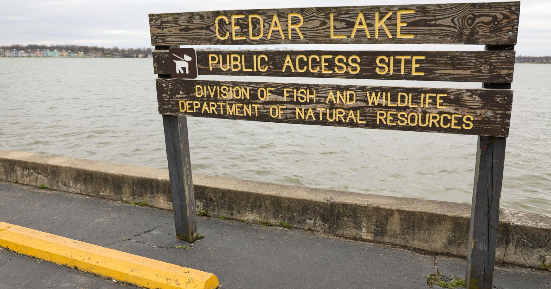 DNR weighing options to fight invasive species in Cedar Lake - Vimarsana News