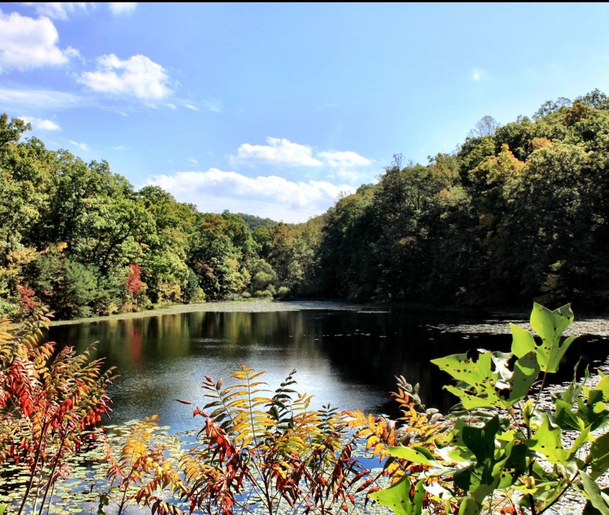 List 90+ Pictures shawnee state park (ohio) photos Full HD, 2k, 4k